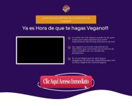 Experto en PLR – Crea Tu Negocio Digital Rentable