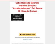 Le Protocole Ventre Plat – FLAT BELLY FIX French Version