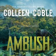 Ambush: A Small-Town Romantic Suspense