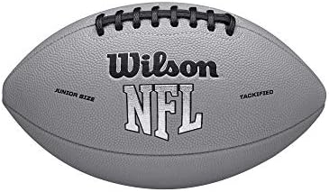 WILSON NFL Recreational Footballs