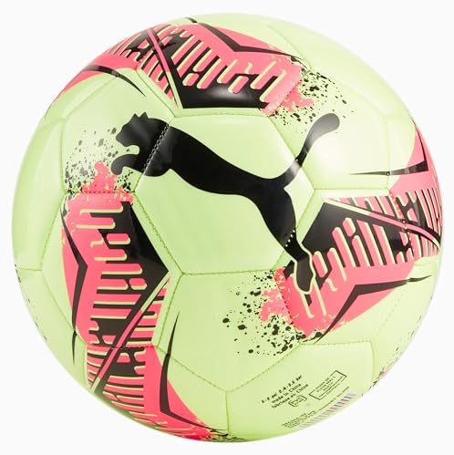 Puma Machine Stitched Futsal Soccer Ball