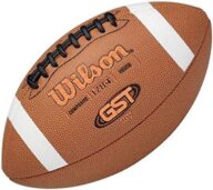 WILSON GST Composite Footballs