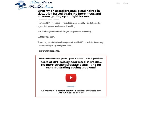The Prostate Protocol vsl cb | Blue Heron Health News