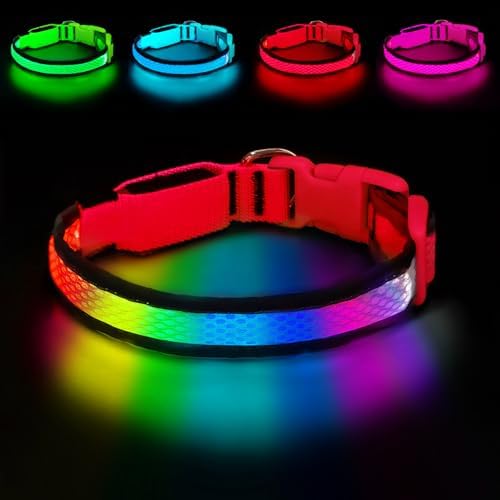 LED Dog Collar, Light Up Dog Collar,for Night Walking(Medium,Red)